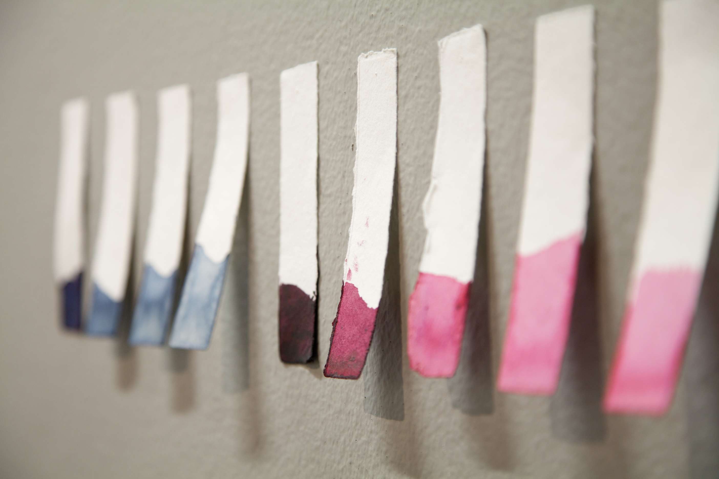 Amazonas Eafit_15.jpg